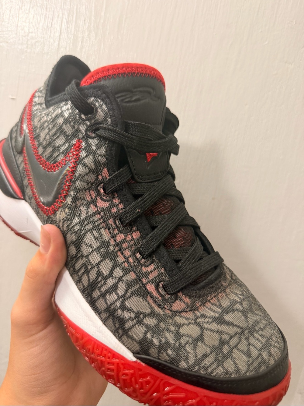 Nike Kids Black & Red Patterned Performance Sneakers LeBron